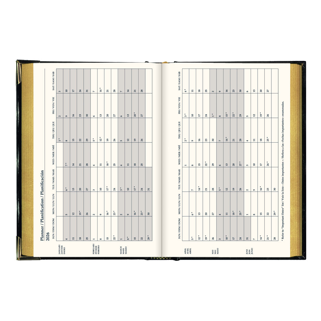 Brownline Executive Weekly Planner 2026, Trilingual, Black CBE507-26