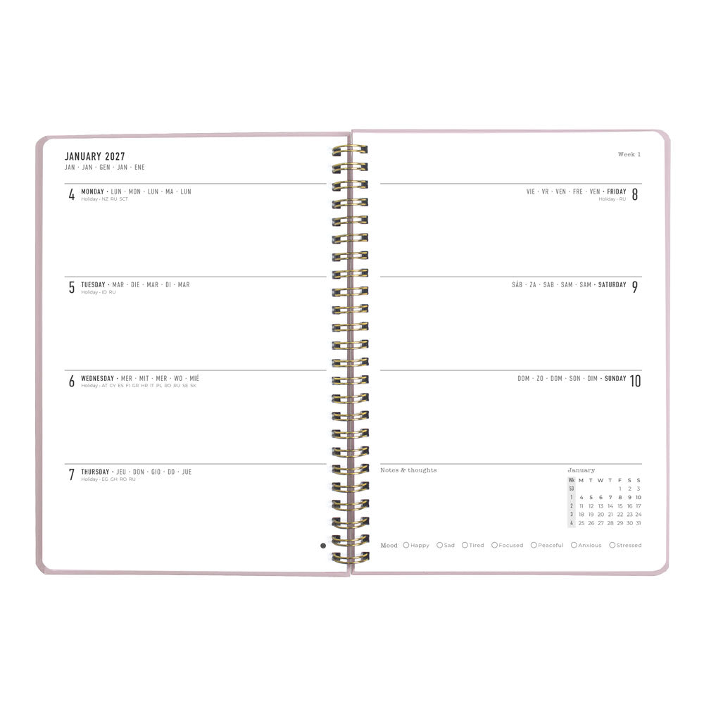 Letts A5 Weekly Planner, Celebrate, 2027 Rose 27-082185 27-082185 #colour_rose