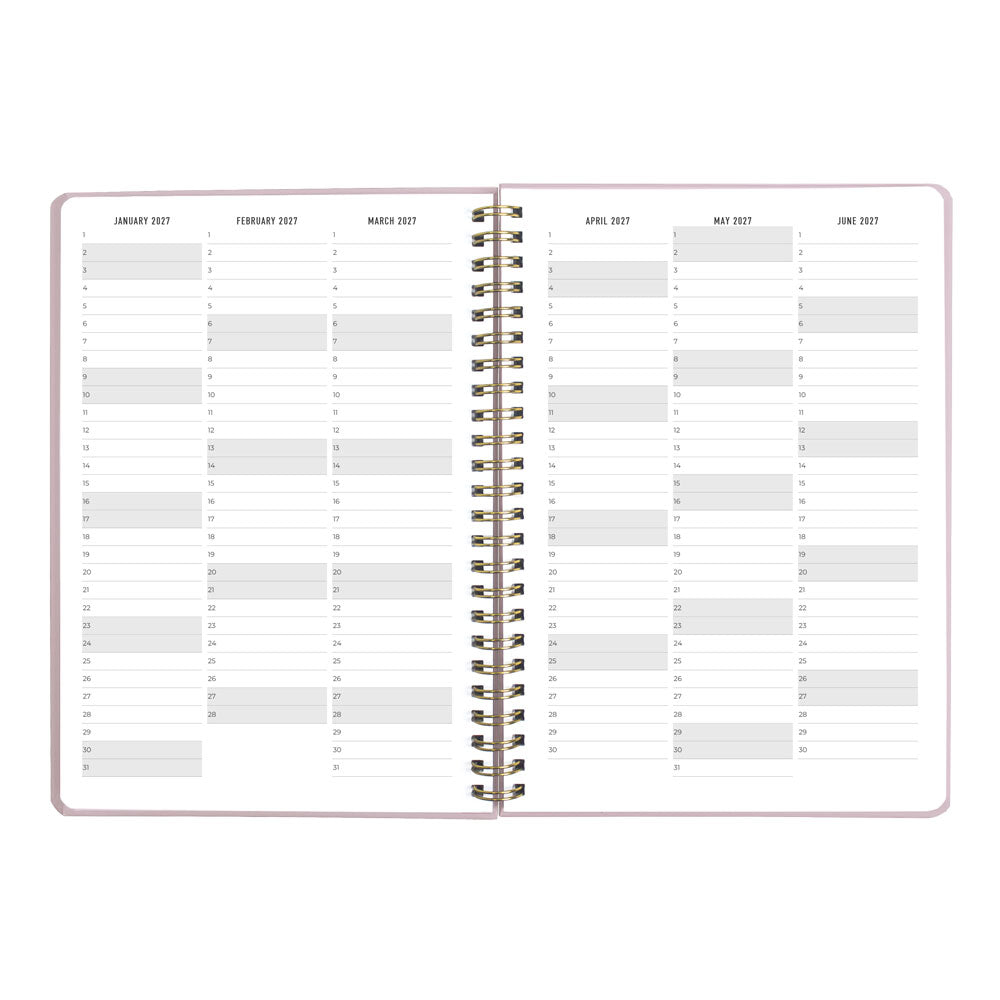 Letts A5 Weekly Planner, Celebrate, 2027 Rose 27-082185 27-082185 #colour_rose