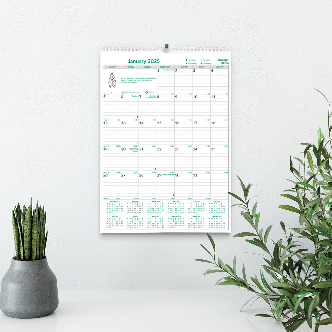 EcoLogix® Monthly Wall Calendar 2025, C171103