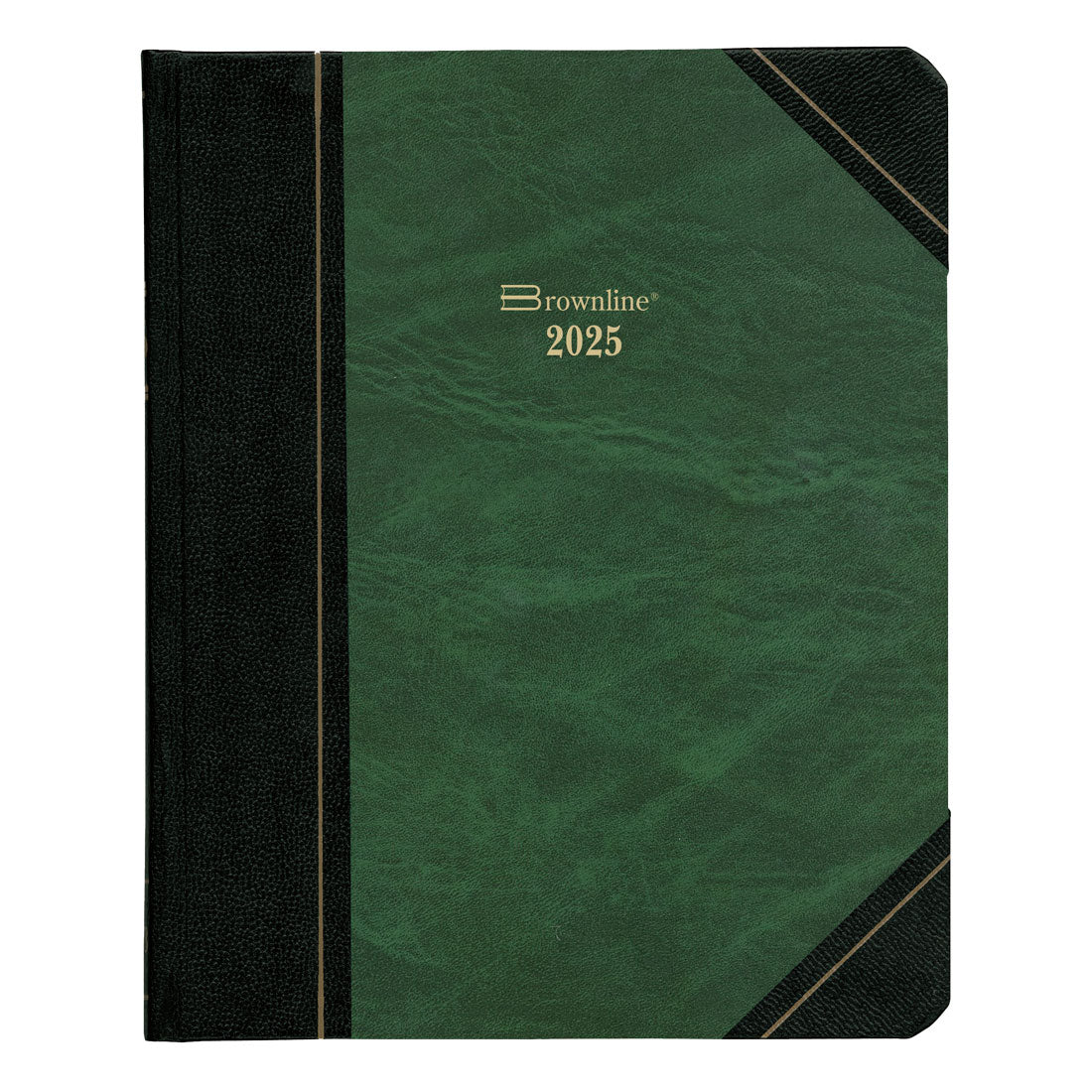 Daily Planner 2025, English , C517F