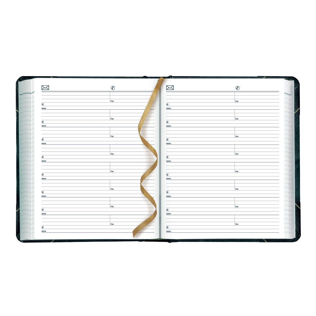 Daily Planner 2025, English , C517F