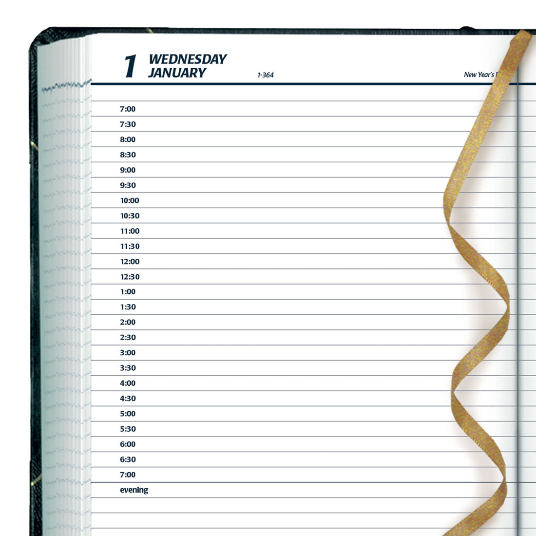 Daily Planner 2025, English , C517F