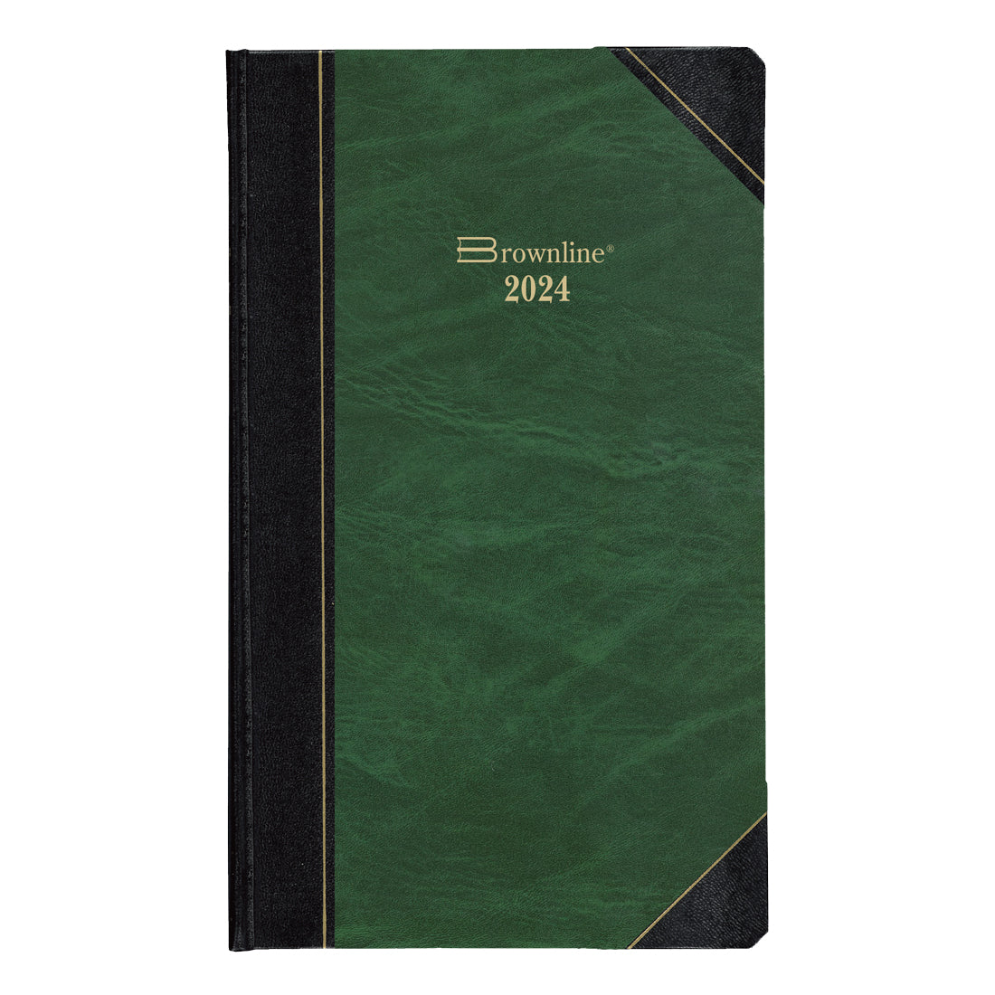 Daily Planner 2024, English
