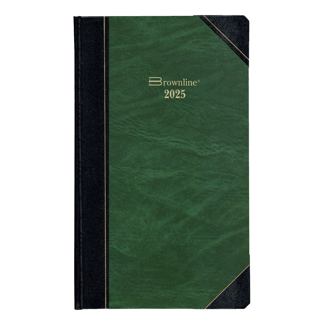 Daily Planner 2025, English, C530F