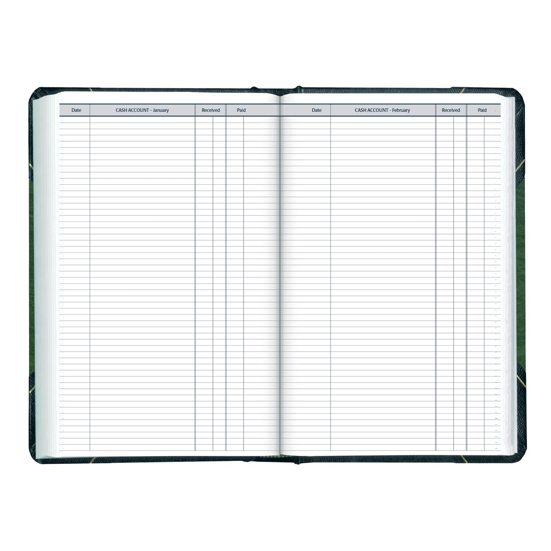 Daily Planner 2025, English, C530F