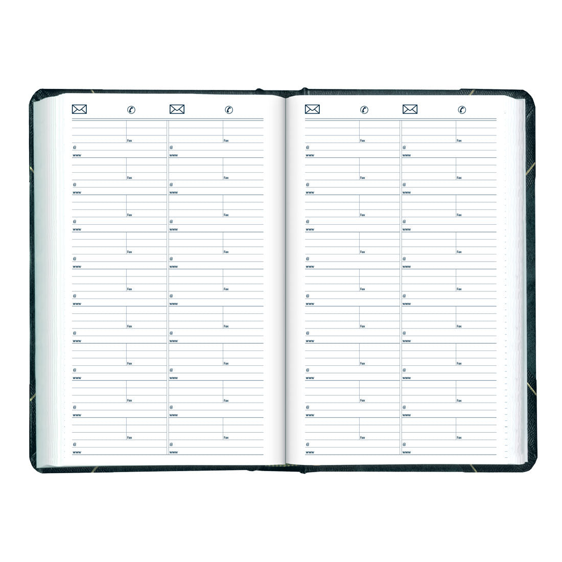 Daily Planner 2025, English, C530F