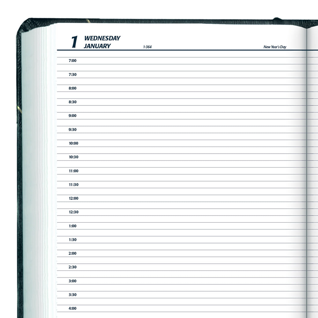 Daily Planner 2025, English, C530F