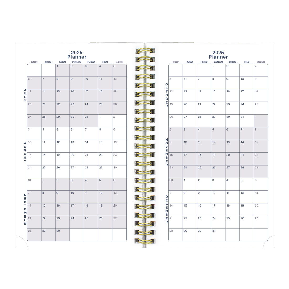 Academic Weekly Planner, Marble, 2025-2026, Blueline CA114PI-26 #colour_marble-green