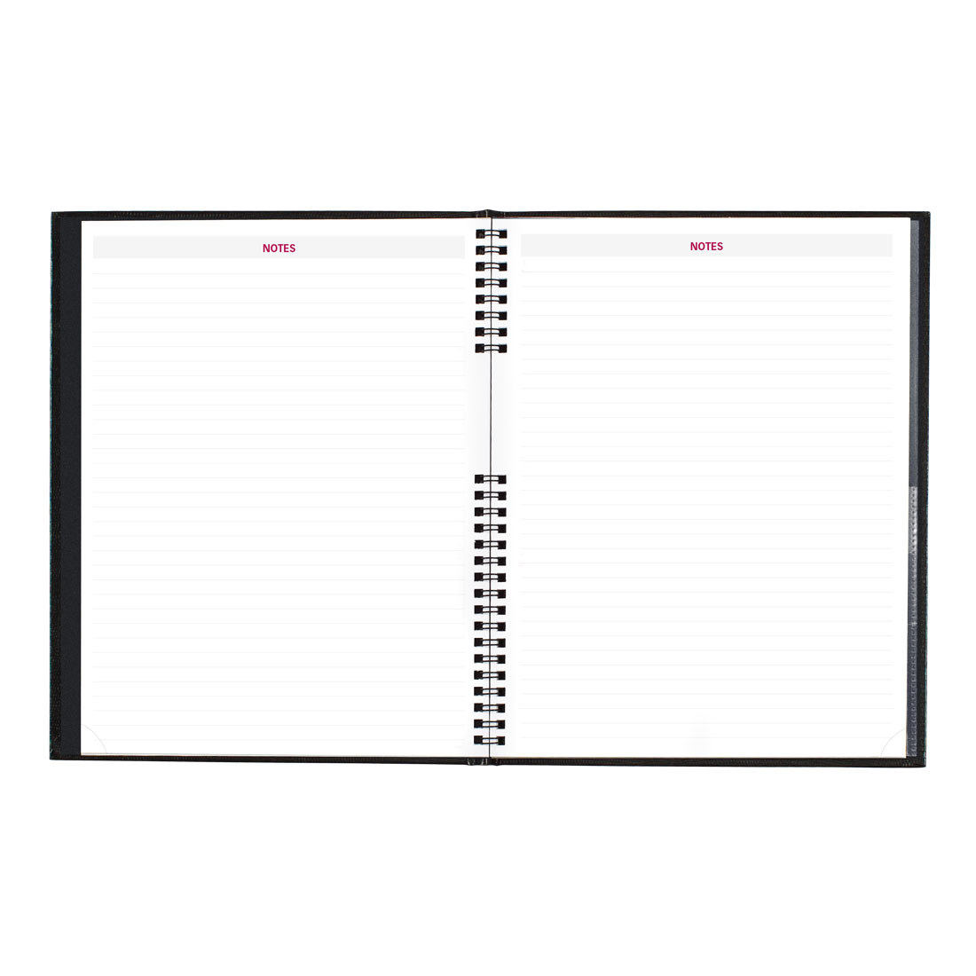 Brownline CoilPro Monthly Planner 2026, English, Black CB1262C.BLK-26