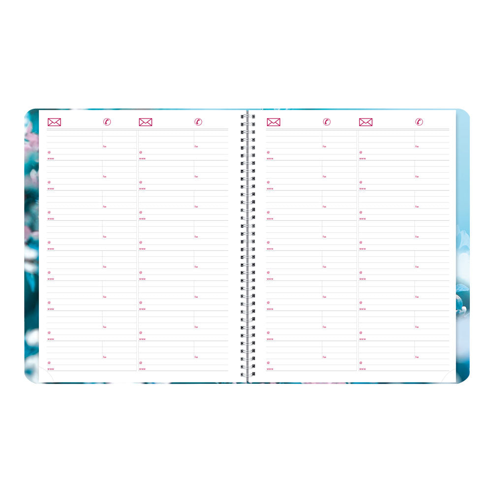 Essential Monthly Planner, 2027, English, Nature Cherry Blossoms CB1262G.03-27 Brownline Canada