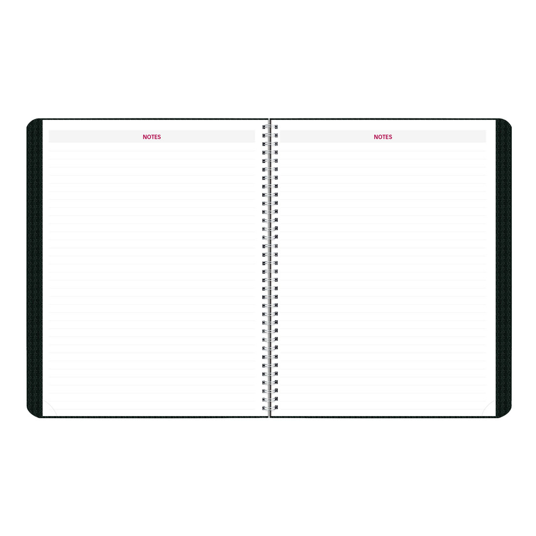 Brownline DuraFlex Monthly Planner, Black, 2026, English (CB1200V.BLK-26)