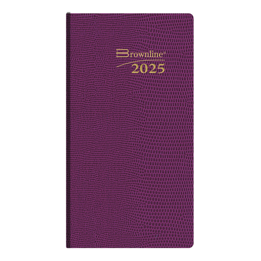 Daily Pocket Planner 2025, English, Assorted Colours, CB401.ASX