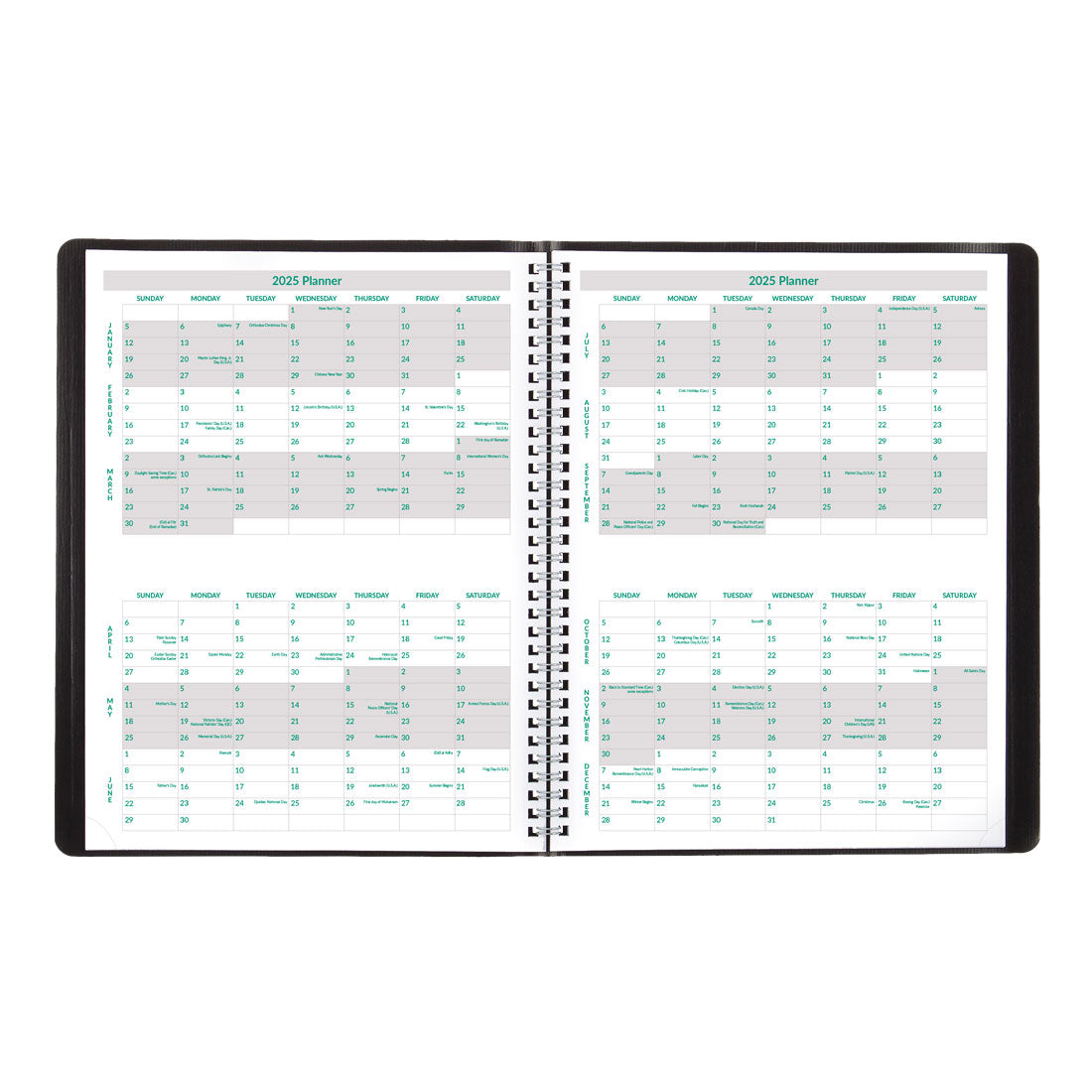 EcoLogix Monthly Planner 2025, Black, CB435W.BLK