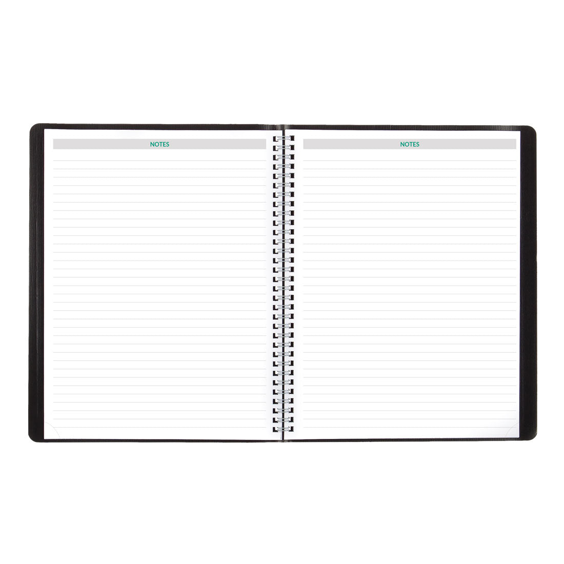 EcoLogix Monthly Planner 2025, Black, CB435W.BLK