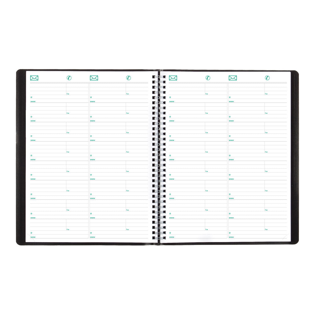 EcoLogix Monthly Planner 2025, Black, CB435W.BLK