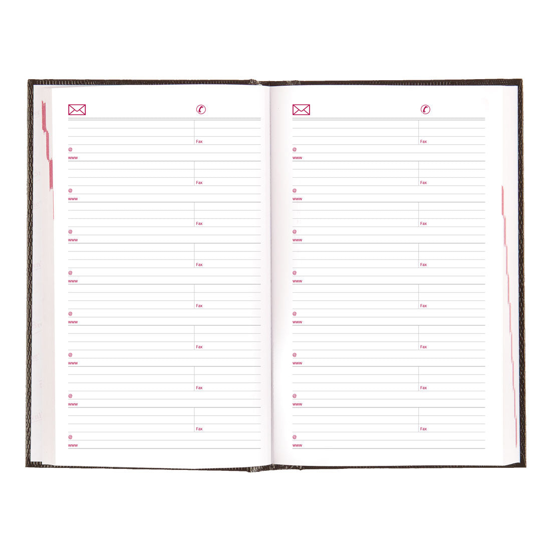 Daily Planner 2025, English, Black, CB634.BLK