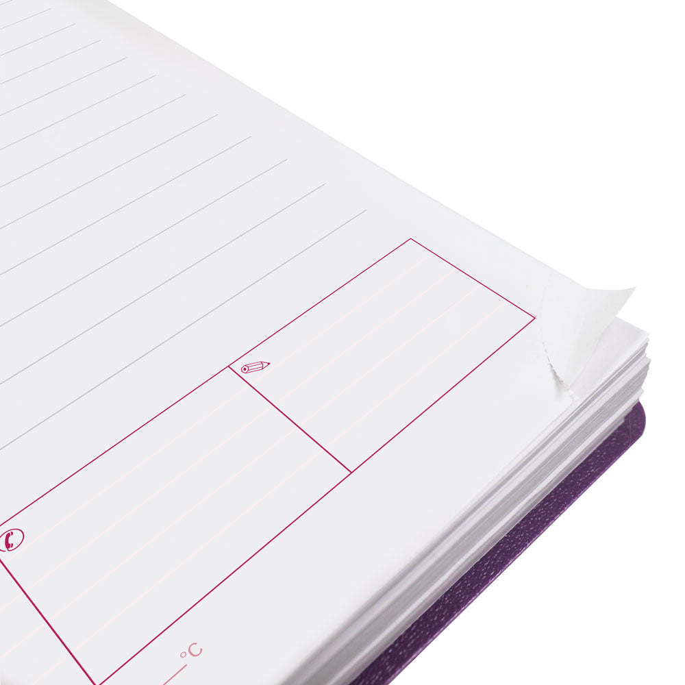 DuraFlex Daily/Monthly Appointment Book, 2027, English Purple CB634V.PUR-27 Brownline Canada