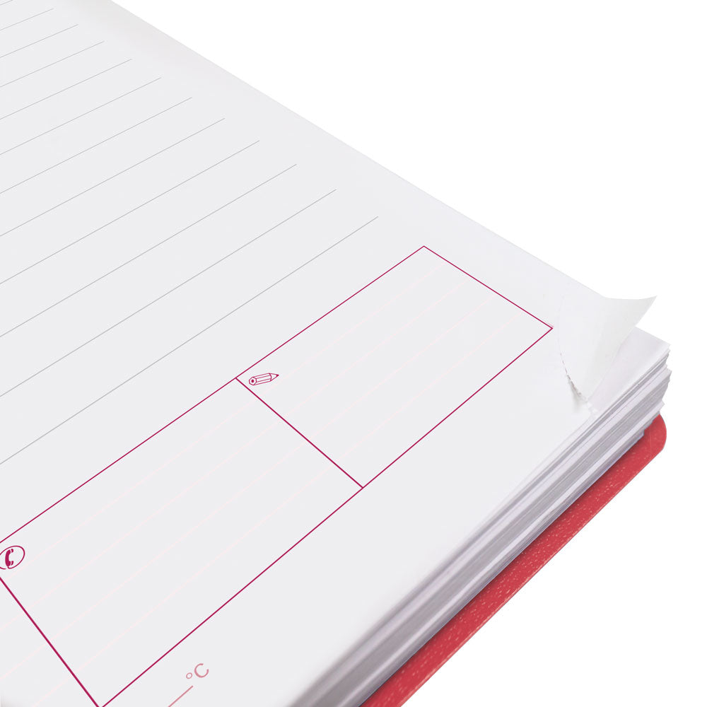 DuraFlex Daily/Monthly Appointment Book, 2027, English Raspberry CB634V.RAS-27 Brownline Canada