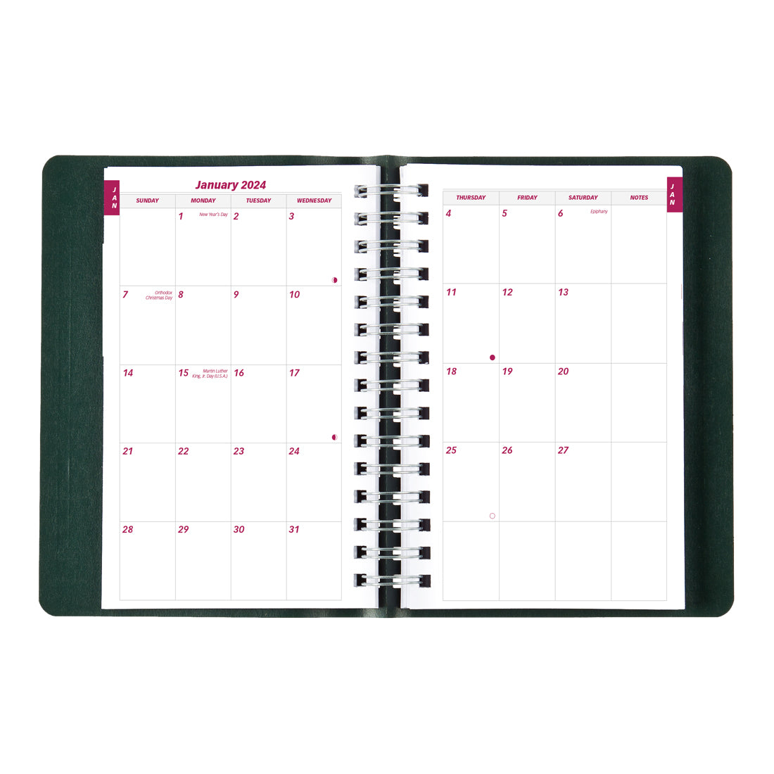 Daily Planner 2024, Black#colour_green