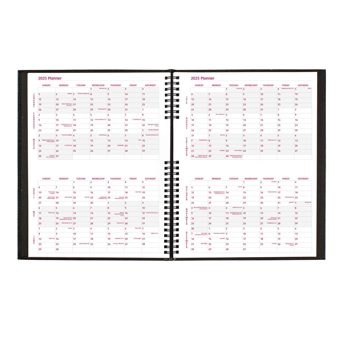 CoilPro Weekly Appointment Book 2025, English, CB950C.BLK#colour_black