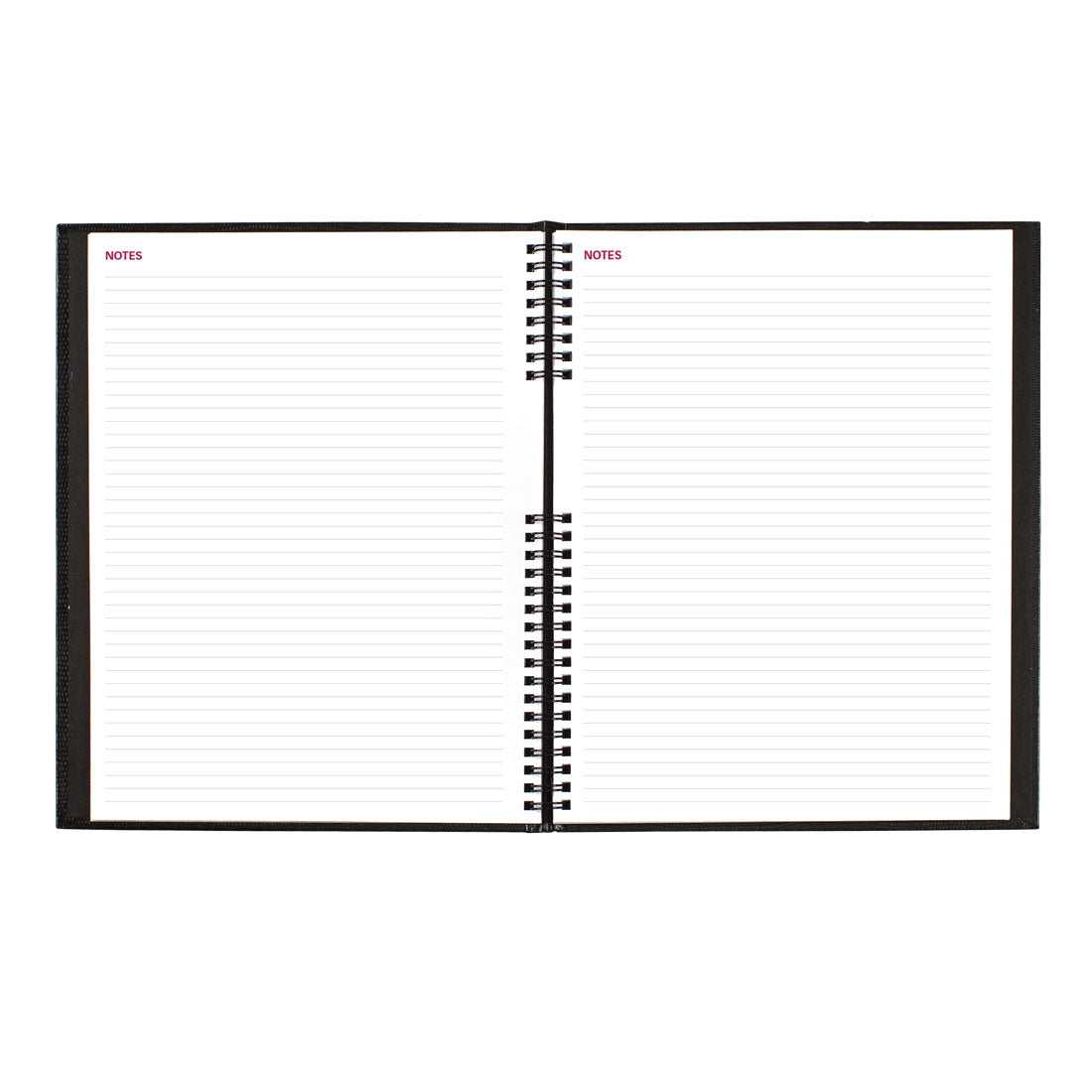 CoilPro Weekly Appointment Book 2025, English, CB950C.BLK#colour_black