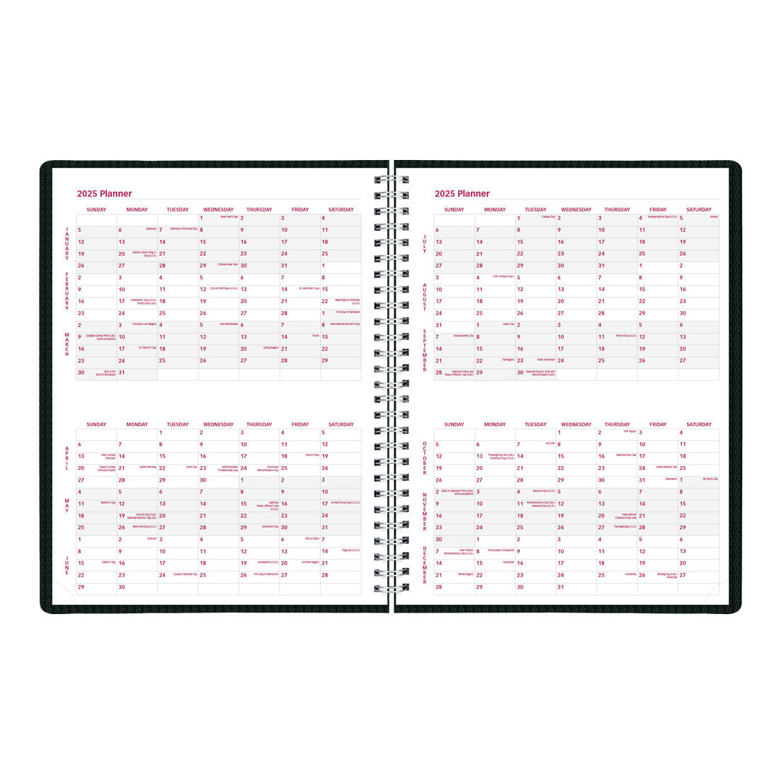 DuraFlex Weekly Appointment Book 2025, English, CB950V.BLK#colour_black