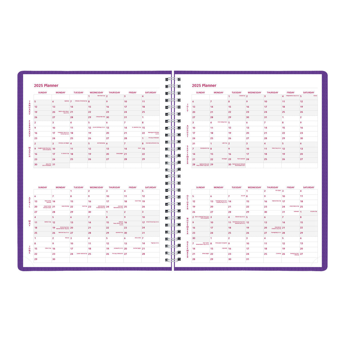 DuraFlex Weekly Appointment Book 2025, English, CB950V.PUR#colour_purple