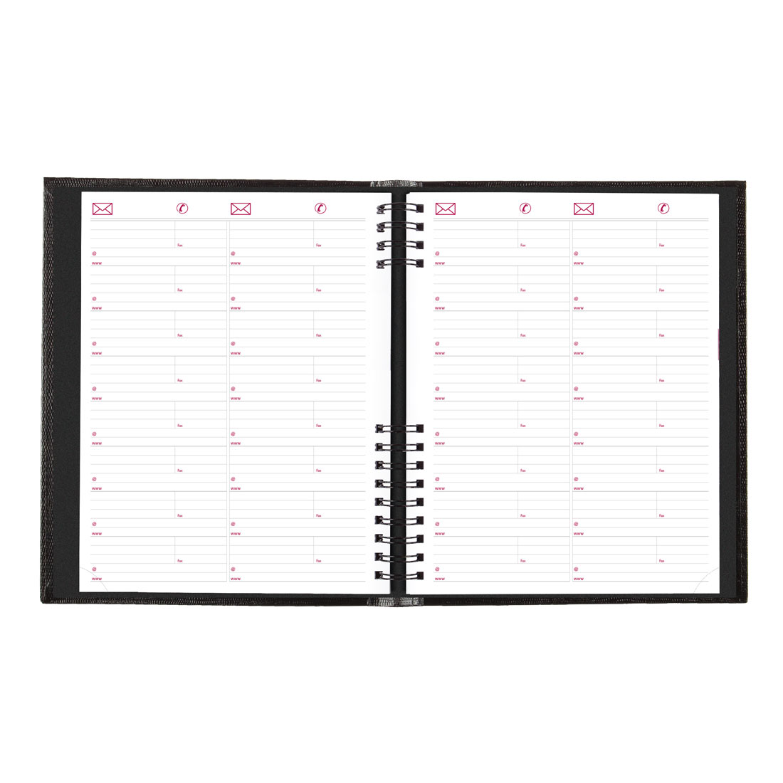 Brownline CoilPro 4-Person Daily Appointment Book 2026, English, Black CB960C.BLK-26