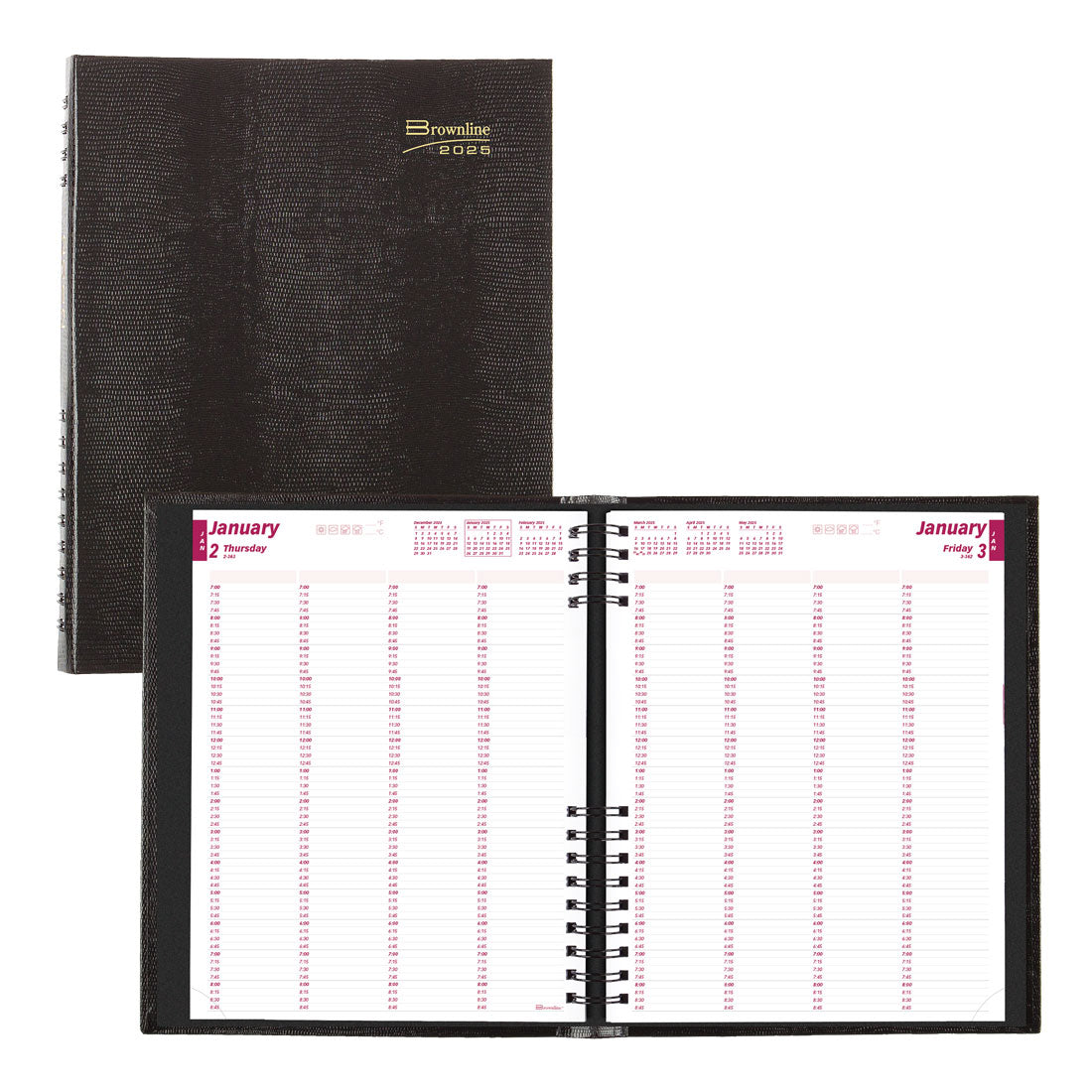 Brownline Coilpro Daily Planner 2025