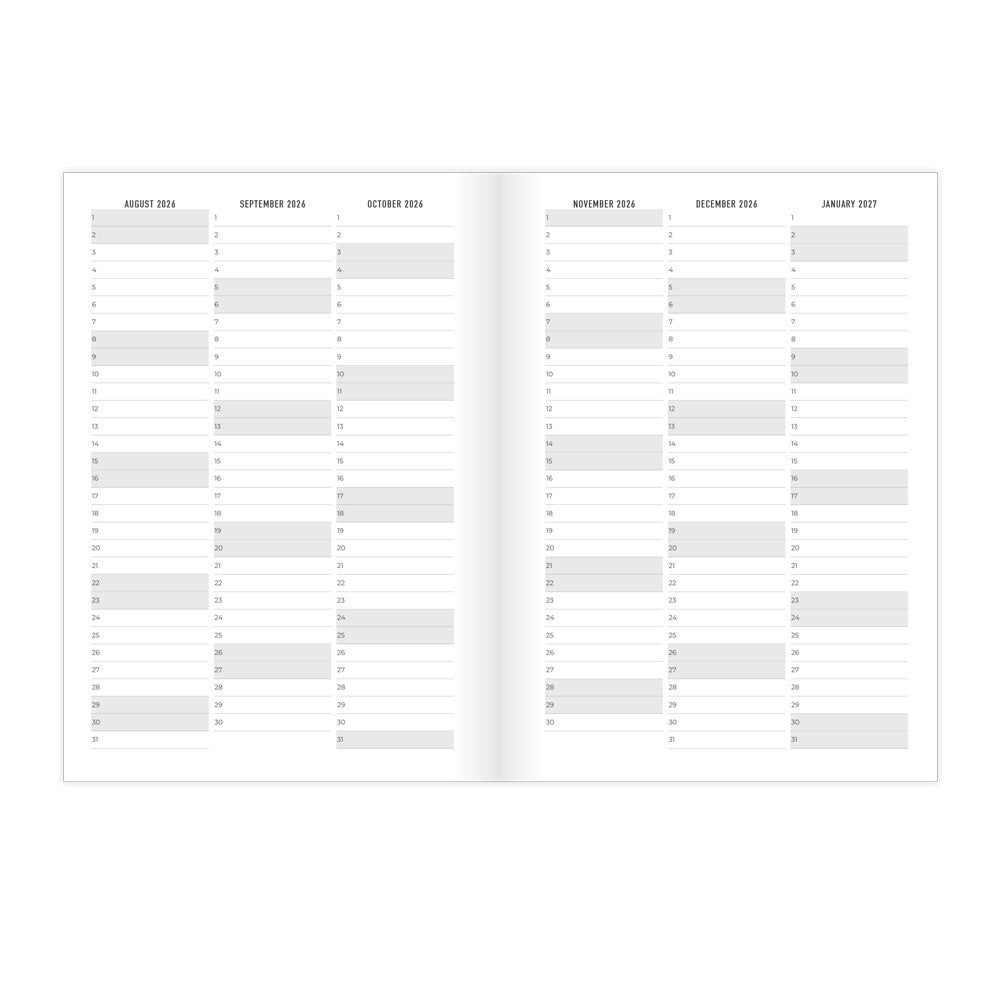 Letts A5 Planners Timeless Layout #colour_stripes-pink