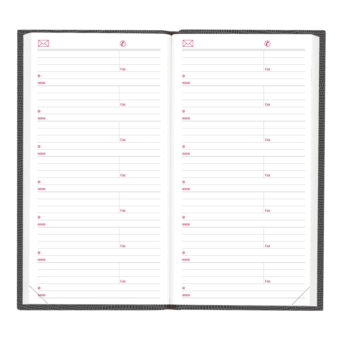 Daily Pocket Planner 2024
