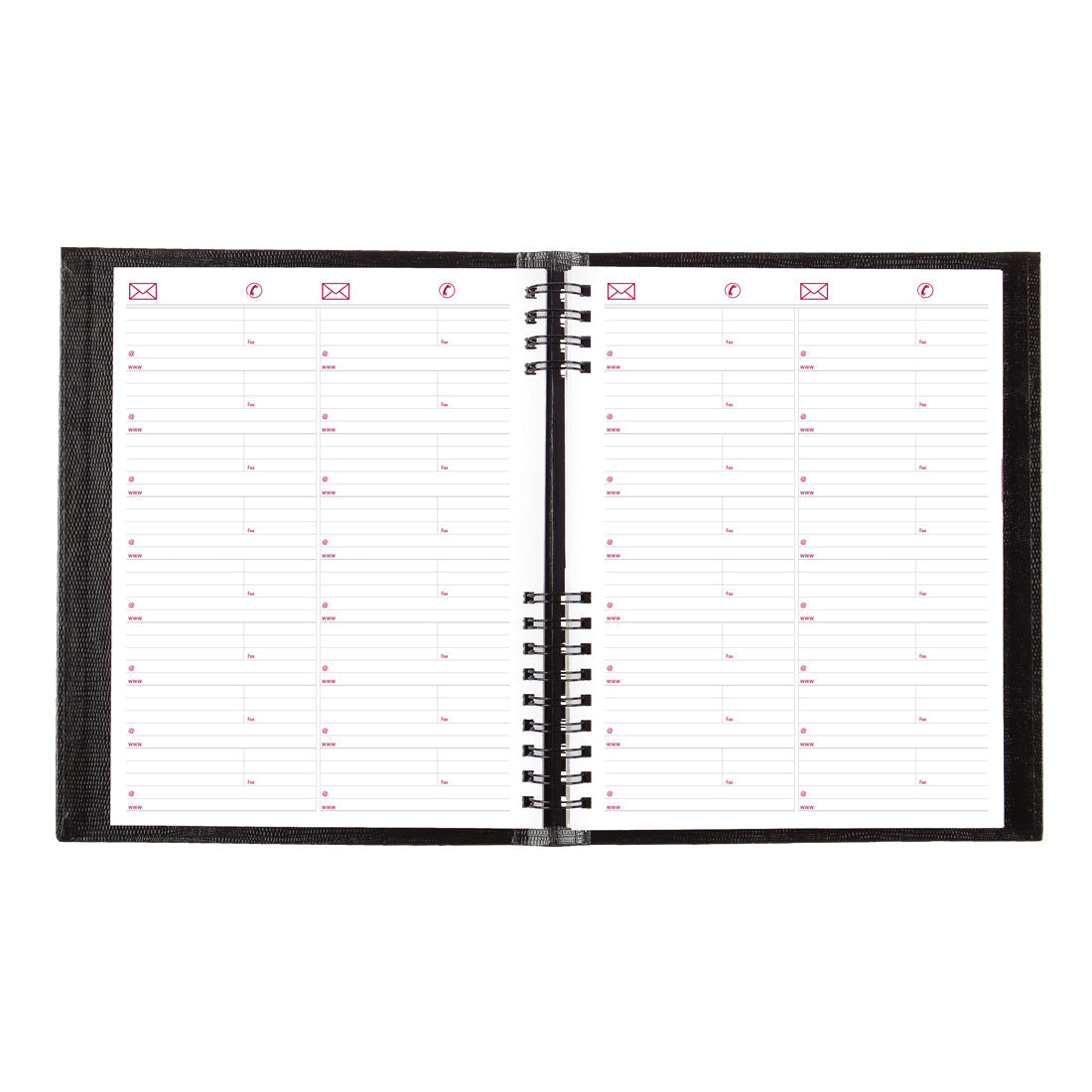 CoilPro 4-Person Daily Appointment Book 2024, Black